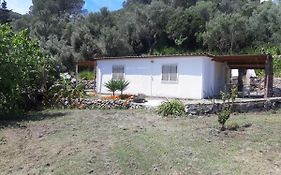 Garden House Q4527